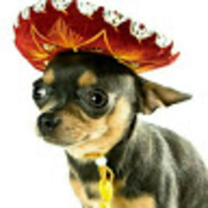 Meet your Posher, Arely